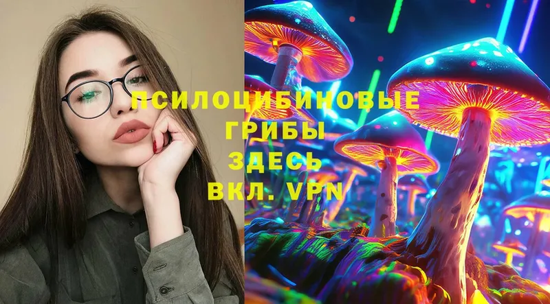 Галлюциногенные грибы MAGIC MUSHROOMS  Кондопога 